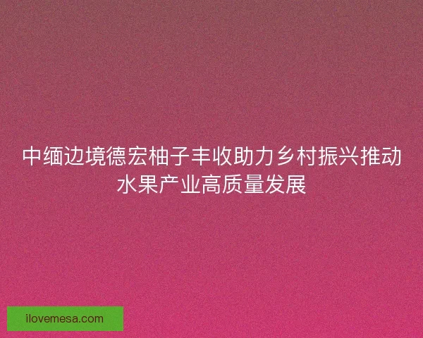 中缅边境德宏柚子丰收助力乡村振兴推动水果产业高质量发展